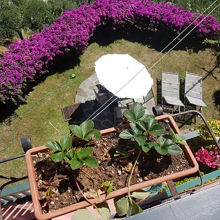B&B Portofino לינה וארוחת בוקר 3*