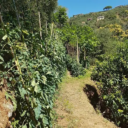 B&B Portofino 3*