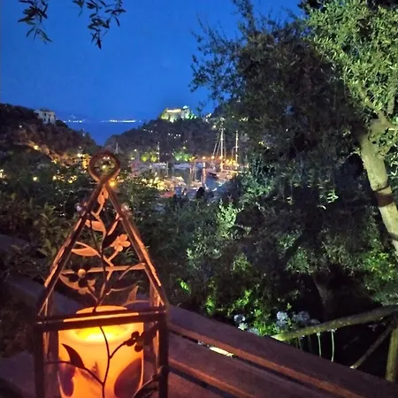 Bed & Breakfast B&B Portofino 3*