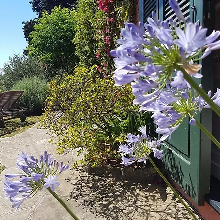 Oda ve Kahvaltı B&B Portofino 3*