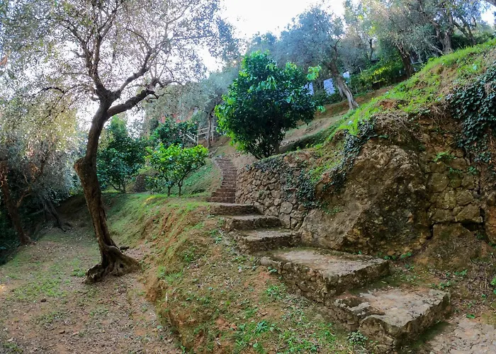 Frühstückspension B&B Portofino Portofino