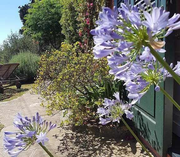 Frühstückspension B&B Portofino 3*